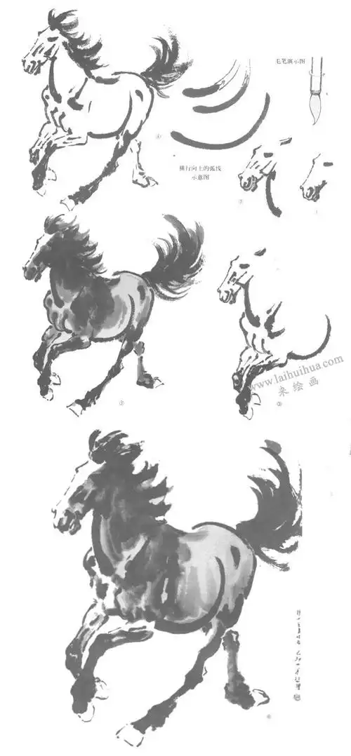 徐悲鸿马创作步骤图之二(徐悲鸿画马技法)