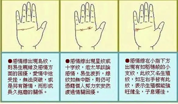 掌纹图解之情感线汇总