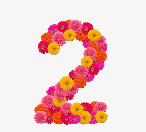 花卉数字2