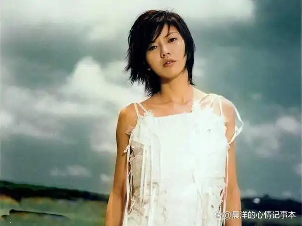 晨洋的音乐日记:有一种流行音乐叫孙燕姿