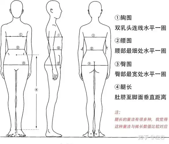 测量自己的三围和腿长数据