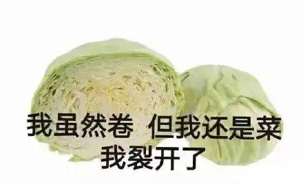 我虽然卷但我还是菜我裂开了_还是_虽然_裂开表情