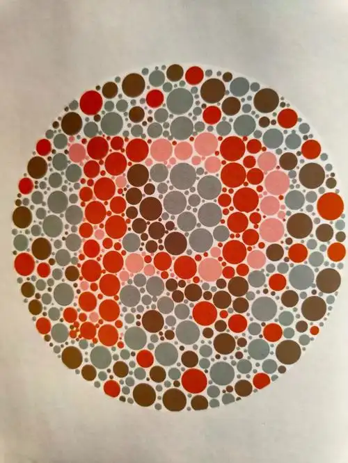 2020年最近驾考体检专用色盲检测图