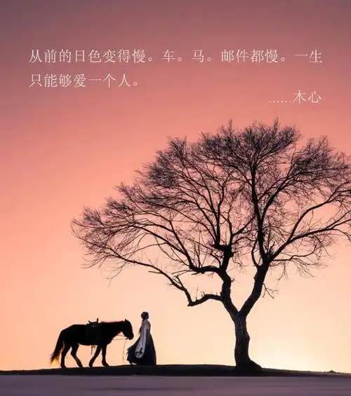 从前车马很慢,书信很远,一生只够爱一个人.