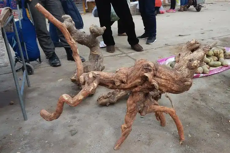 山上的树根农民大叔赶集卖500元1件没人买:这是艺术,一般人不懂