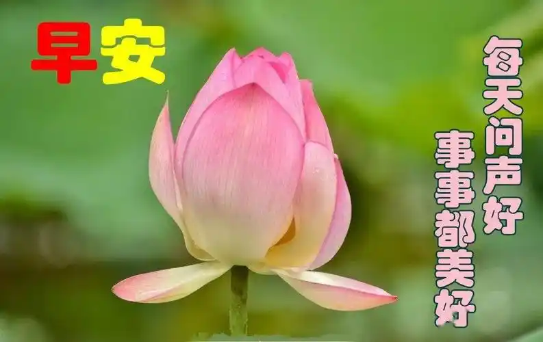 2020早上好快乐好心情祝福语早上好快乐表情图片带字动态美图