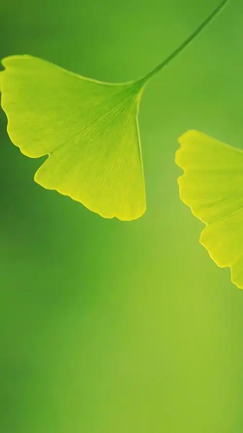 绿色背景图 养眼 微信 绿色背景图片 微信 养眼 - 网络编辑之家