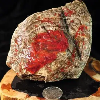 辽宁朝阳北票战国红缟玛瑙原石毛料矿标摆件 8-207号鸡血红