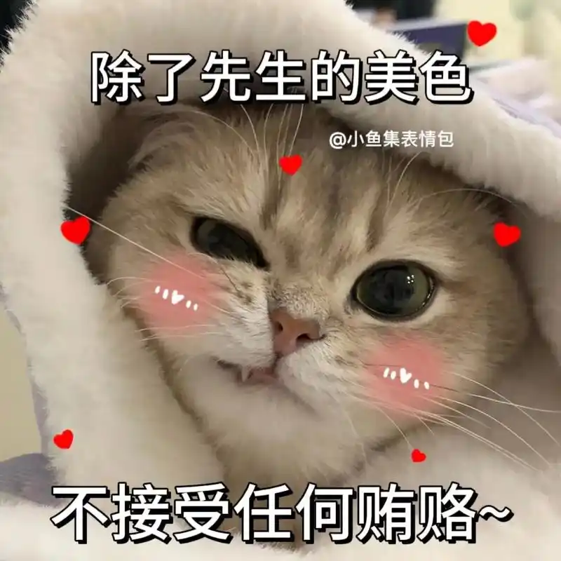 除了先生的美色 不接受任何贿赂!#发给对象表情包 #猫咪表情 - 抖音