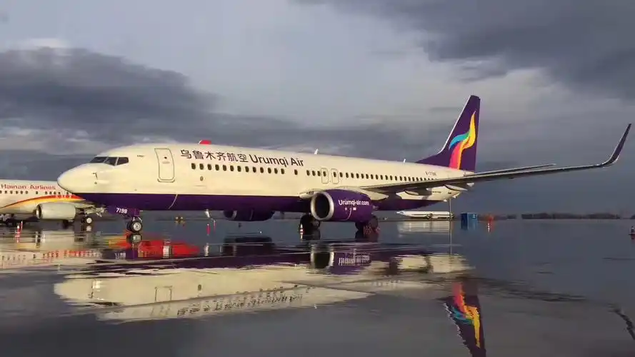 加快飞机引进速度,加大在新疆区域的运力投放,逐步开通飞往中亚,西亚