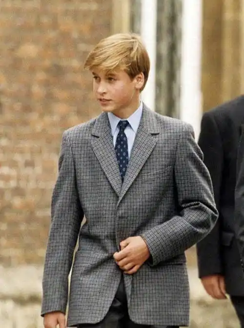 少年时期的威廉王子颜值有多高?