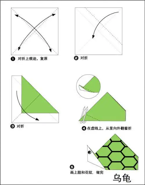 折纸游戏:乌龟