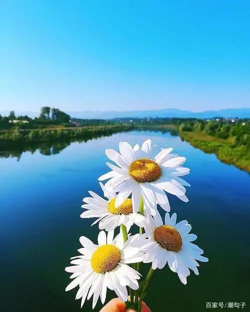 表达心情开朗的句子心情豁达开朗的说说