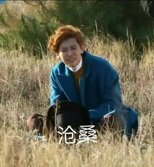 孤独,弱小,可怜,无助