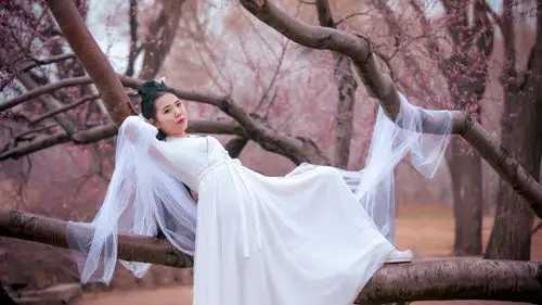 白衣飘飘的仙女