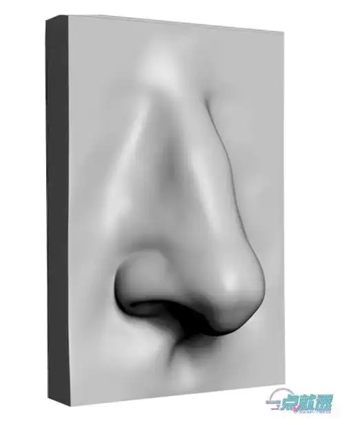 鼻子的局部分析