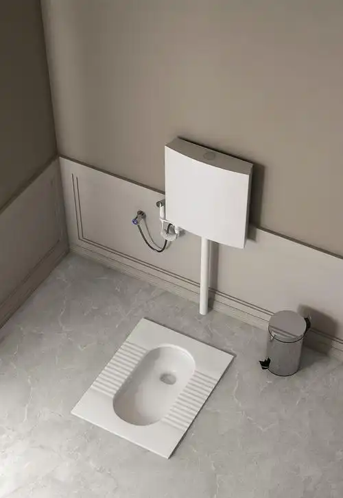 套装家用蹲坑大便器蹲厕防臭卫生间厕所洗手间前排水陶瓷便盆大便池