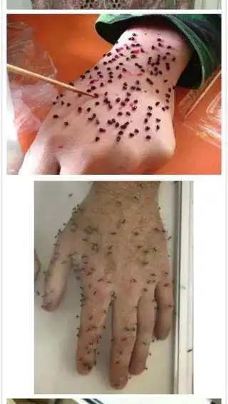 求吓死人的恐怖图片