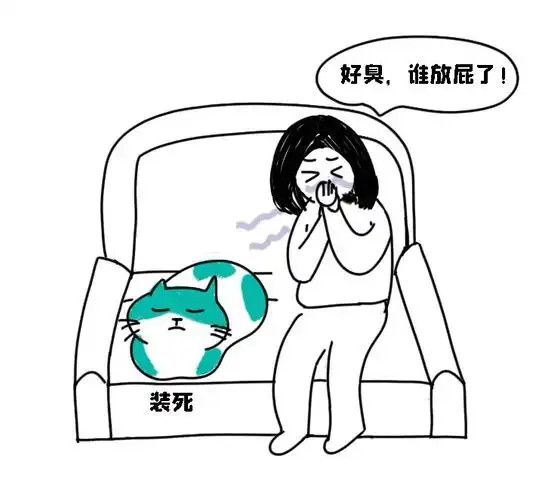 01. 是的,猫咪也会放屁