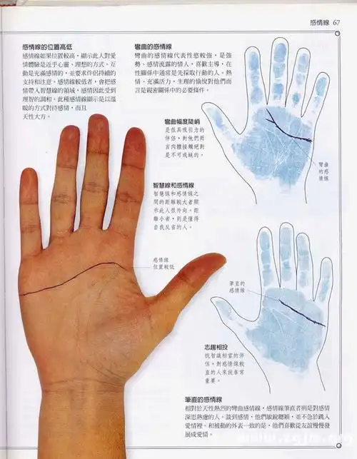 手相学习百科感情线