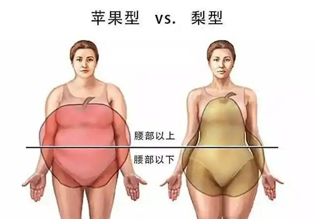 粗腿|体重|体型_新浪新闻