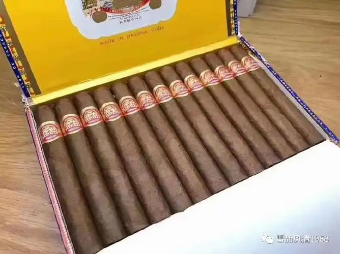 哪里能买到正宗的古巴雪茄