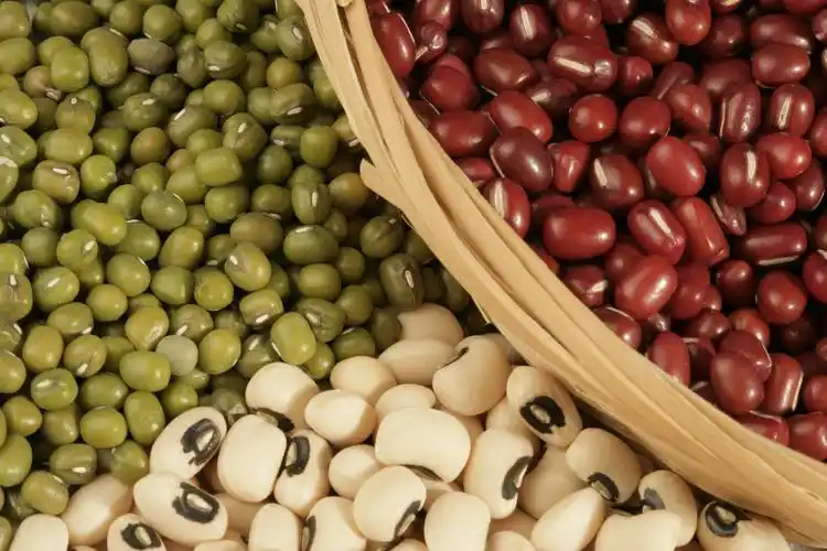 五谷丰登图片五谷杂粮五谷丰登