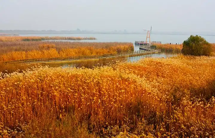 山东省东营市黄河口生态旅游区
