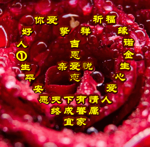 今日首发,愿天下有情人终成眷属,爱缘,祝福表情包图集收藏版