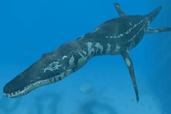 滑齿龙的生活习性