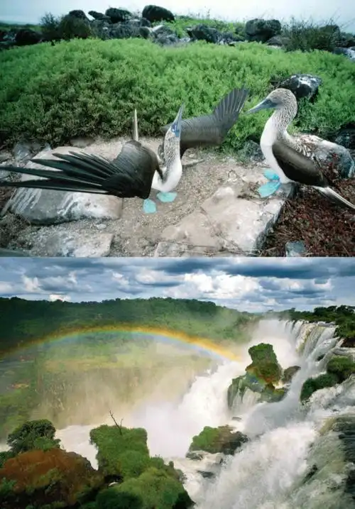 全球最美的自然景观