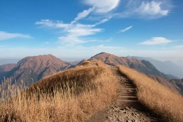 在武功山的高山之巅 仿佛藏着一个唯美的 金色童话世界