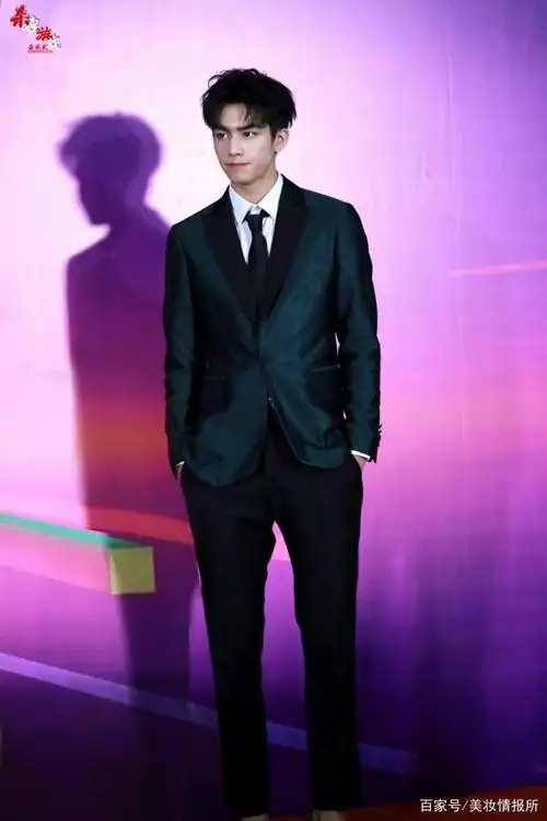 宋威龙正装出席活动豆豆鞋抢眼