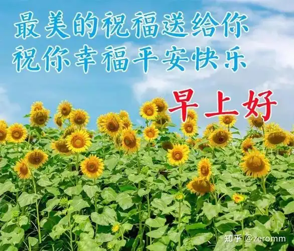 阳光暖心的正能量简短句子温馨美好的早上好问候图片带字