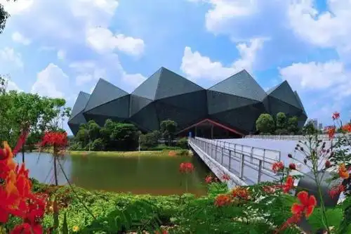 龙岗又一公园拟将挂牌为市级湿地公园!