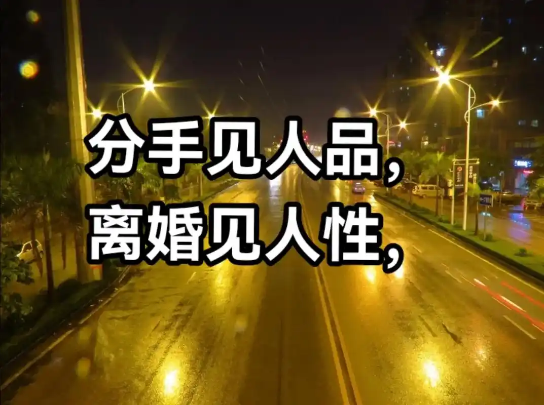 各自安好也不要相互诋毁都奋不顾身的爱过毕竟曾经情出自愿分手见人品