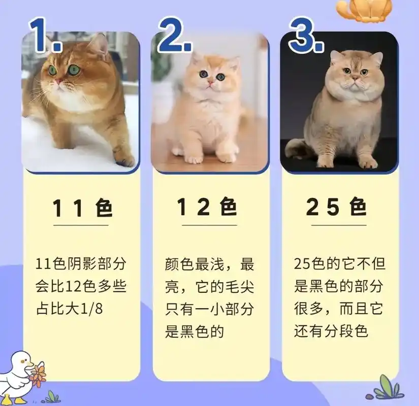 金渐层色号分解 - 抖音