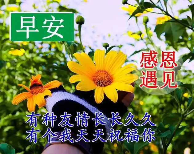 12月30日早上好每日问候