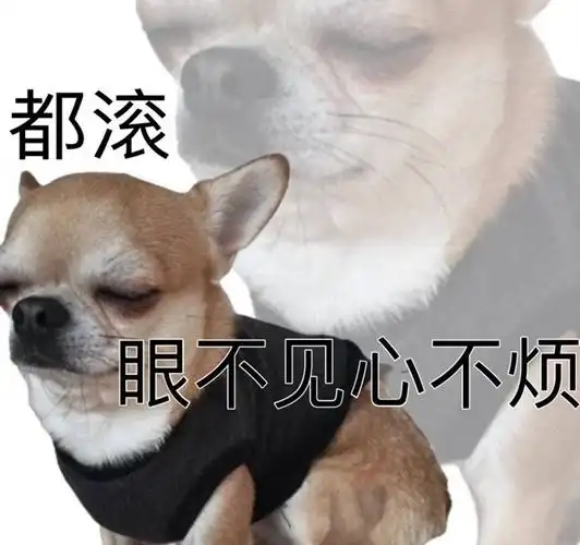 都滚眼不见心不烦_心不烦_眼不见表情