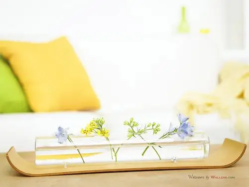 室内温馨唯美的花卉意境图片大全分享