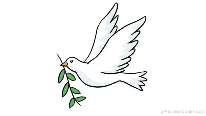动物简笔画和平鸽