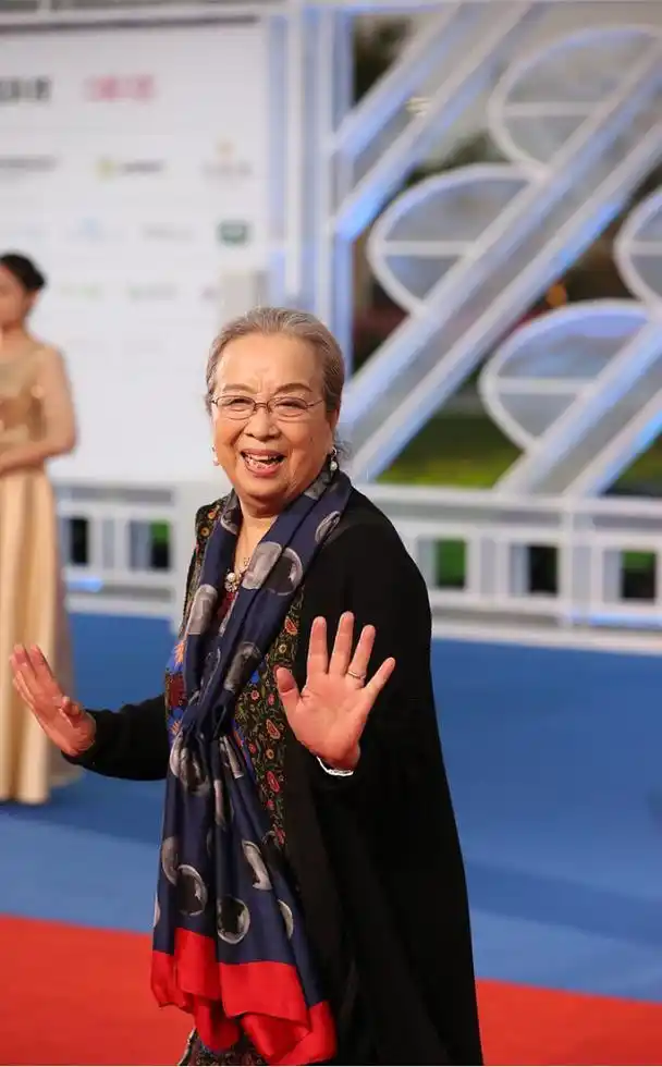 李明启就算是老了也有气质,随便穿一身气质装,就挺有魅力的