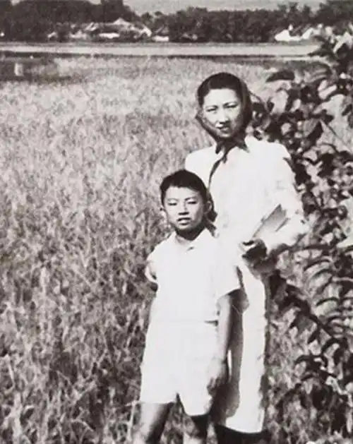 1994年张学良唯一活着的儿子回国,飞机上请人照顾:64岁不会汉语