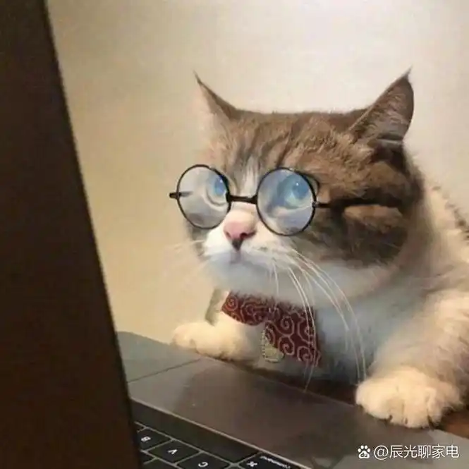 沙雕头像 搞怪头像 /男生的爱是减分制 男生的爱是减分制,初见时什么