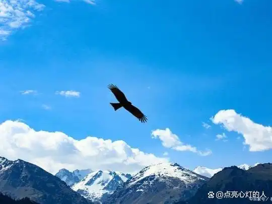 七言小诗:致敬奋斗者