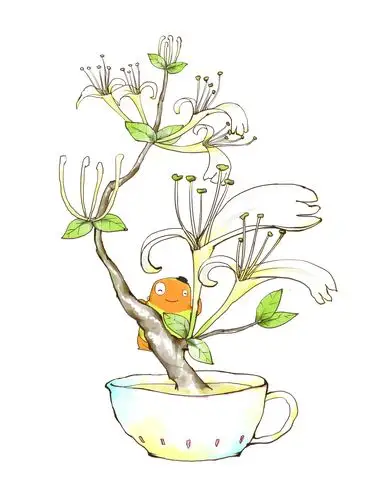 花茶包装插画