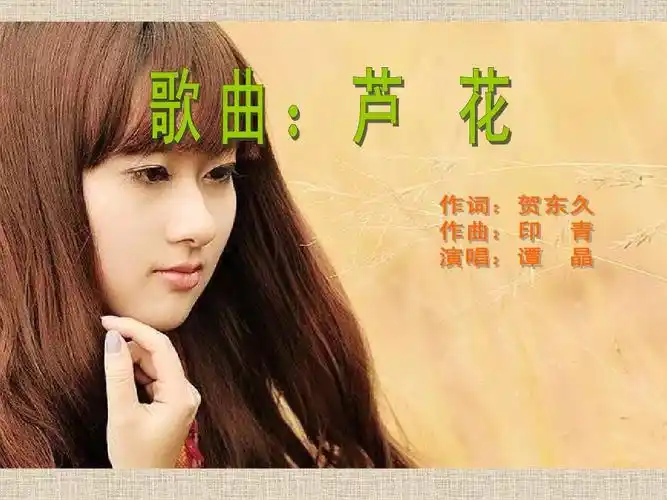 歌曲《芦花》ppt