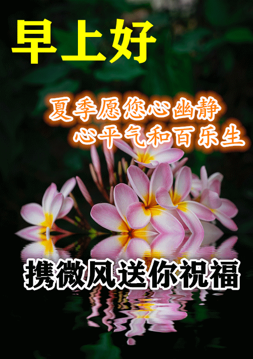 早上好动态表情图片大全,三伏天早晨好动图美图大全