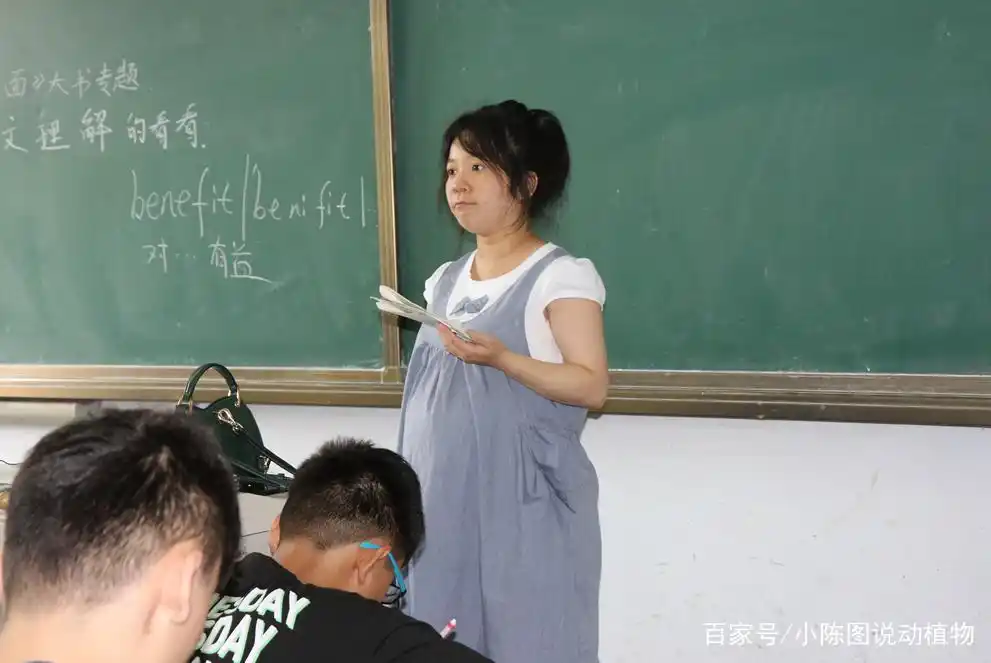 临产女教师挺着大肚子给毕业班上课 要坚持把学生送进中考场