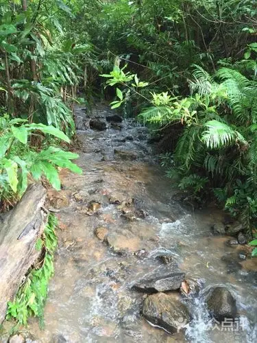 田心森林公园图片 - 第59张